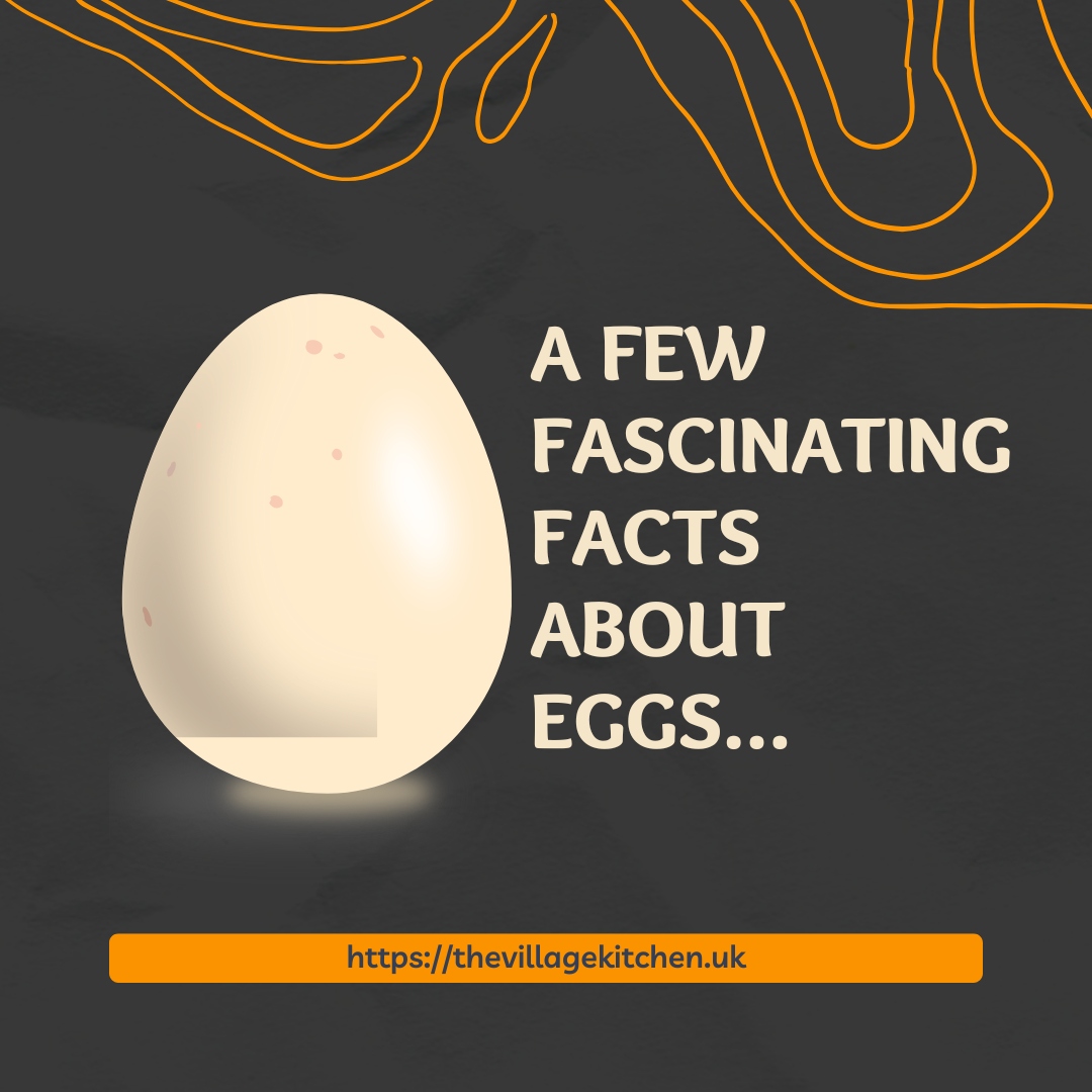 A FEW FASCINATING FACTS ABOUT EGGS… – THE VILLAGE KITCHEN